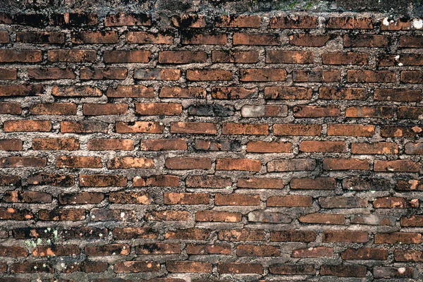 Background of brick wall textur — Stock Photo, Image