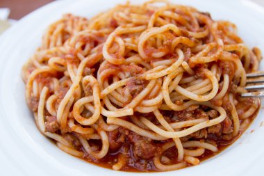 Bolognese
