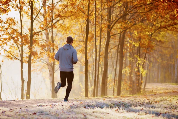 Mann läuft morgens in Park — Stockfoto