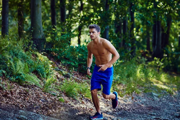 Mann läuft im Wald bergauf — Stockfoto