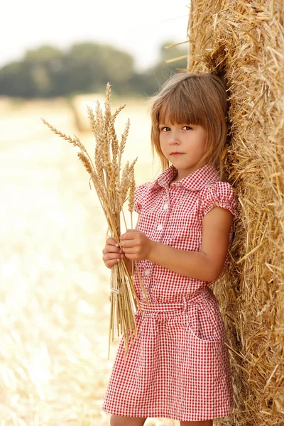 Menina segurando trigo — Fotografia de Stock