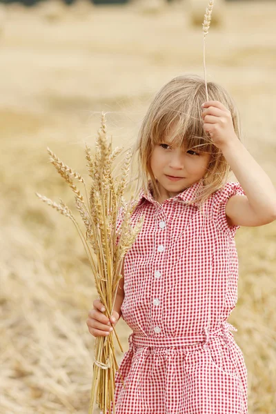 Niña sosteniendo trigo — Foto de Stock