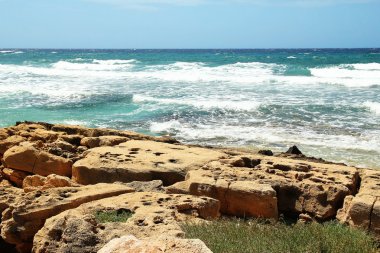 Karayip Denizi kıyısında 
