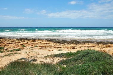denizden kıyıya manzara