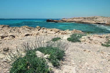 denizden kıyıya manzara