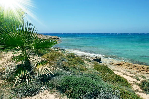 Landscape of sea shore — Stock Photo, Image