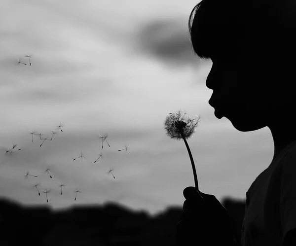 Silhouette of girl with dandelion — Stock Photo, Image