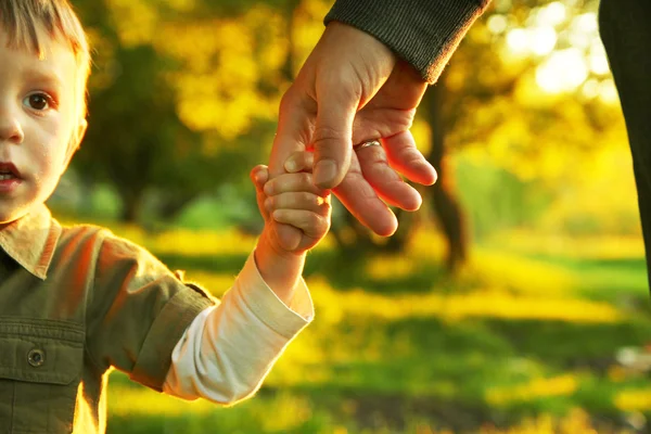 Parent holding child's hand — Stock Photo, Image