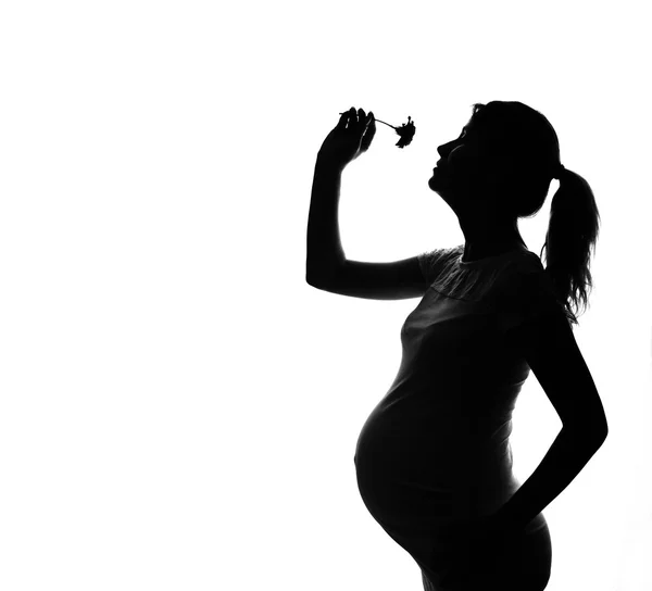 Silhouet van een zwangere vrouw — Stockfoto