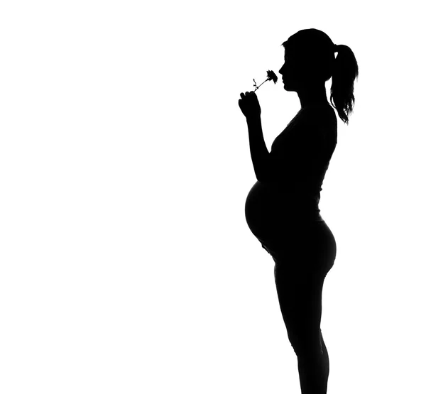 Silhouette einer schwangeren Frau — Stockfoto