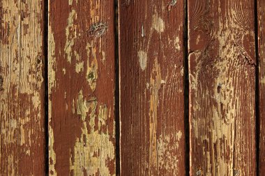 Eski duvardaki boya soyuluyor.