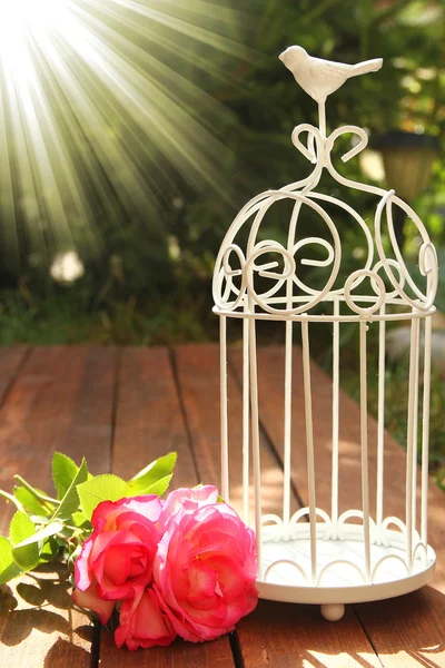 Decorative cage with flowers — Stock Photo, Image