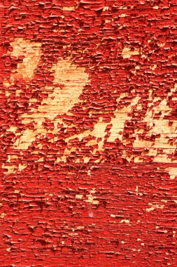 Eski duvardaki boya soyuluyor.