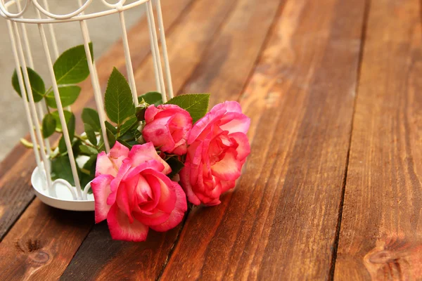 Decorative cage with flowers — Stock Photo, Image