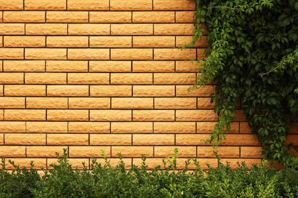 Brick wall background texture — Stock Photo, Image