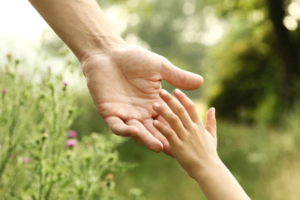 Hands of parent and child — Stock Photo, Image