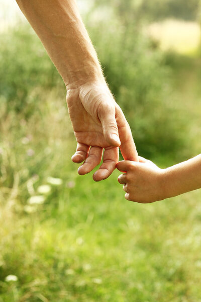 руки родителей и детей
  