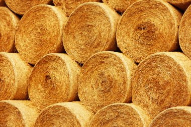 yığılmış saman balya 