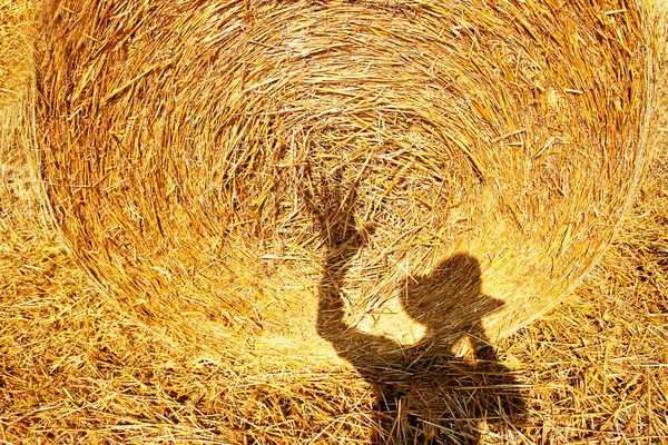 Shadow on  bale harvest — Stock Photo, Image