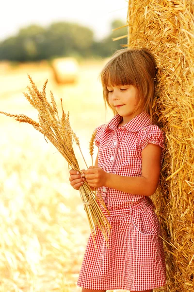 Happy child on a field — Stock Photo, Image