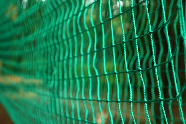 Rope tree Park — Stock Photo, Image