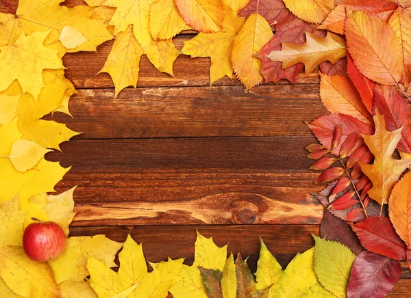 秋天的落叶框架 — 图库照片