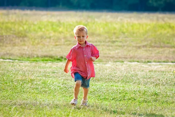 幸せな子供は夏に自然の中で遊ぶ — ストック写真