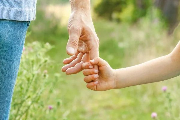 Ruce Rodiče Dítěte Přírodě — Stock fotografie