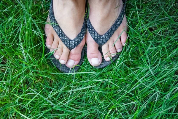 Красиві Ноги Траві Літньому Парку — стокове фото