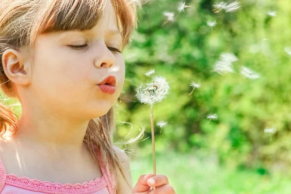 Fröhliches Kind Spielt Und Pustet Löwenzahn Der Natur — Stockfoto