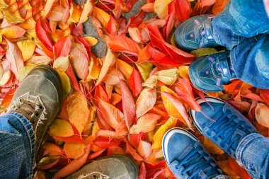 Ayaklar sonbaharda yaprakların arka planında bir arka planda