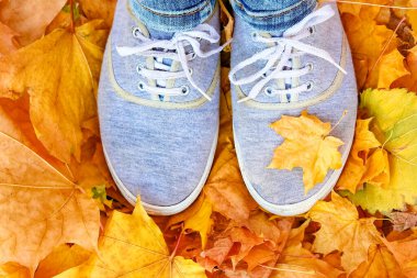 Ayaklar sonbaharda yaprakların arka planında bir arka planda