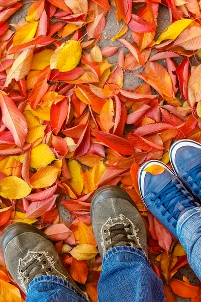 feet on the background of leaves in autumn on a background of th
