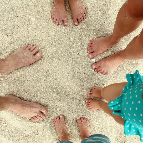 Family feet on the sand on the beach in summe