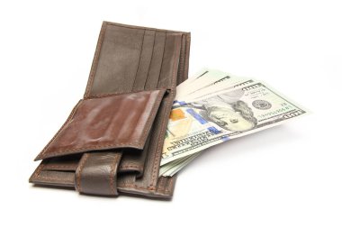 Beyaz arka planda bir çantada dolar iş parası