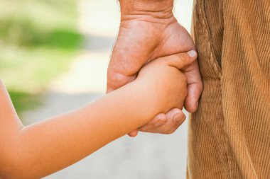 Parktaki bir ebeveynin ve çocuğun elleri