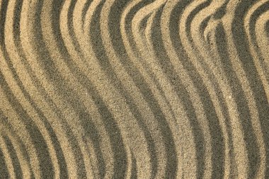 Yazın deniz kenarındaki kumların arka planında