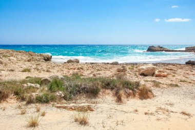 Arka planda dalgalar olan güzel bir sahil.