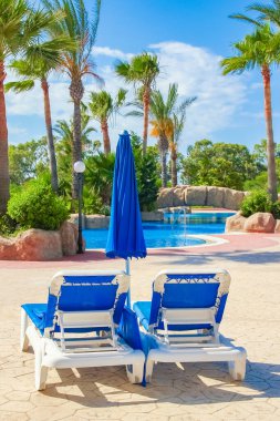 Deniz zeminine yakın havuz kenarında güneşli yataklar.