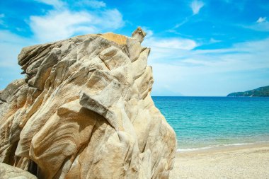 Parktaki arka planda deniz kenarında güzel bir doğa.