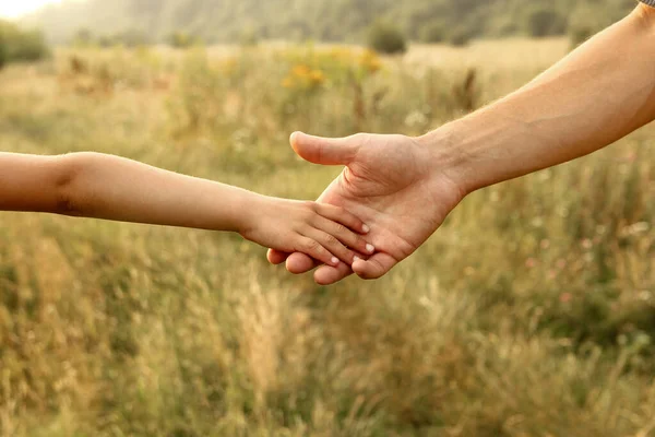 Handen Van Ouder Kind Natuur — Stockfoto