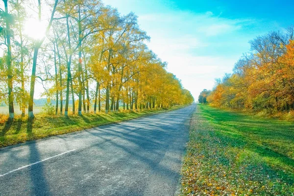 Beautiful Autumn Road Nature Park Background — Stock Photo, Image