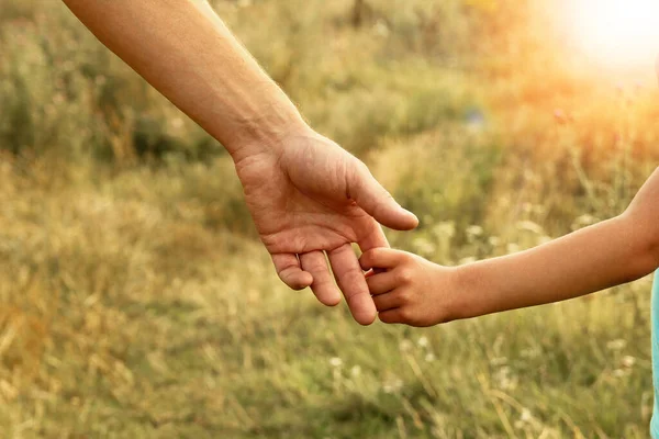 Hände Von Eltern Und Kind Der Natur — Stockfoto