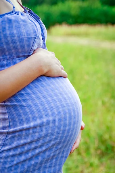 Happy Pregnant Woman Nature Park Background — Stock Photo, Image