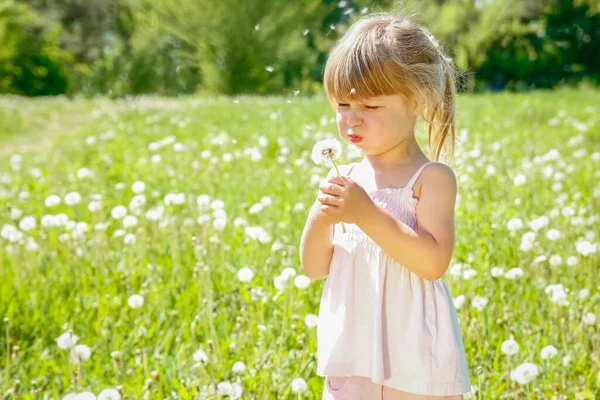 Enfant Heureux Plein Air Soufflant Pissenlit Dans Parc — Photo