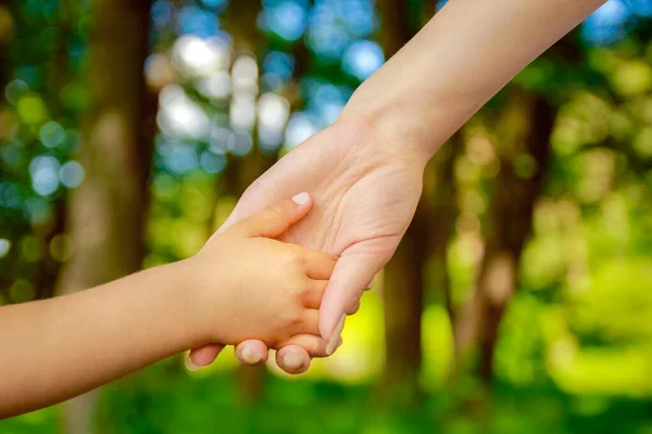 Händer Lyckliga Föräldrar Och Barn Utomhus Parken — Stockfoto