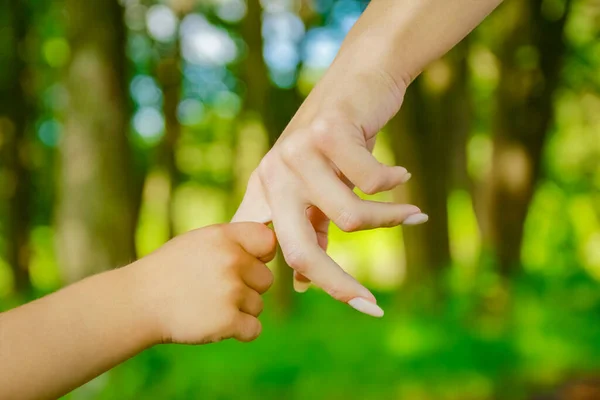 Hands Happy Parents Child Outdoors Park — Stock Photo, Image