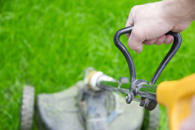 Bir adam bahçede çim biçme makinesiyle çim biçer