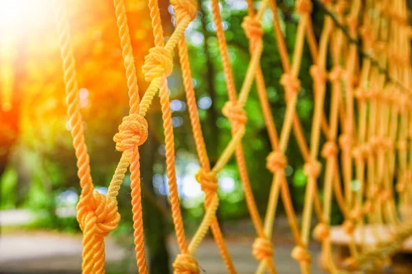 Prachtig Touw Net Klimmen Het Park Aan Natuur — Stockfoto