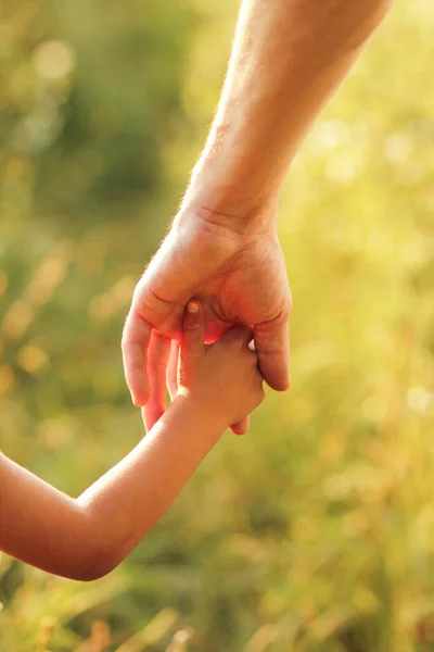 Hands Parent Child Outdoors Park — Stock Photo, Image